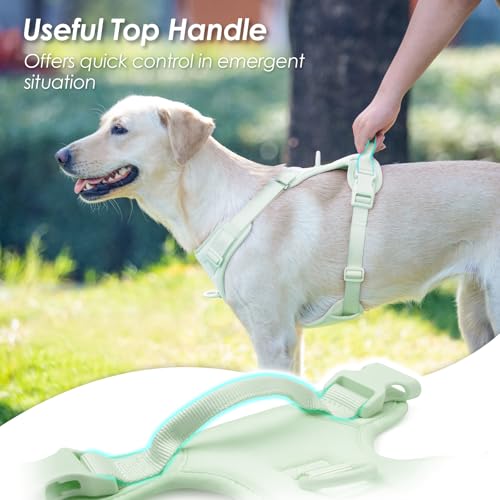 No Pull Dog Harness for Large Sized Dogs Puppy Vest No Choke (Light Green / XL(Neck:24.8-38.6", Chest:29.1-45.3"))