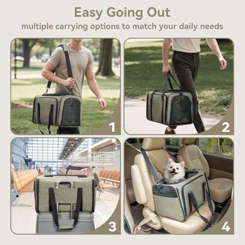 Large Expandable Cat Carrier for Travel (19.0"L x 12.0"W x 12.0"H / Green)