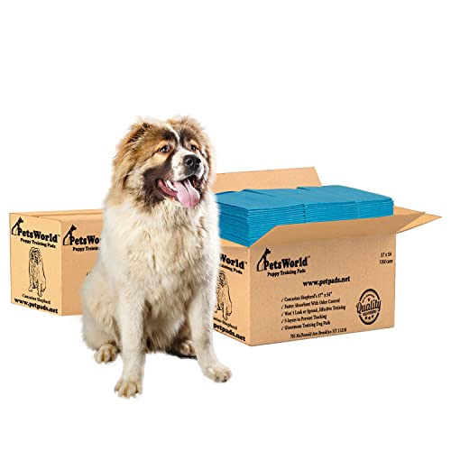 Enormous Dog Pee Pads 37"x54" 200 Count (37x54 Unscented / 200 Count)