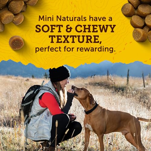 Mini Naturals Dog Training Treats (10 Ounce (Pack of 1))