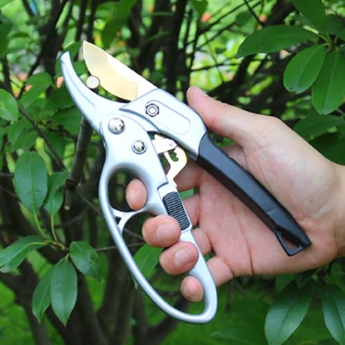 Titanium pruning shears (Titanium Pruners)