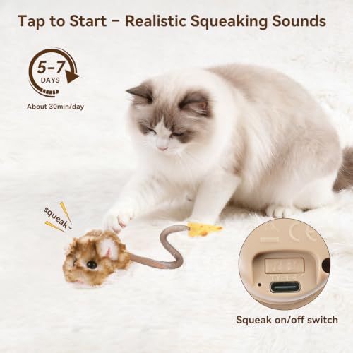 Interactive MigiMouse Cat Toy 360° Rolling & Spin with Mesh Plastic Tail for Indoor Cats Smart Motion Sensor