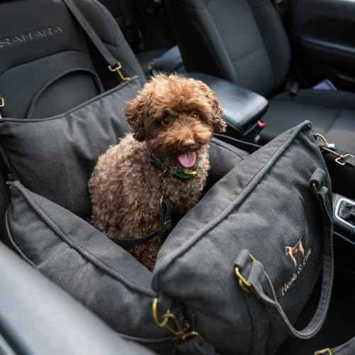 Dog Car Seat Booster for Small Dogs & Cats Under 25lb (Charcoal - Canvas / Medium)