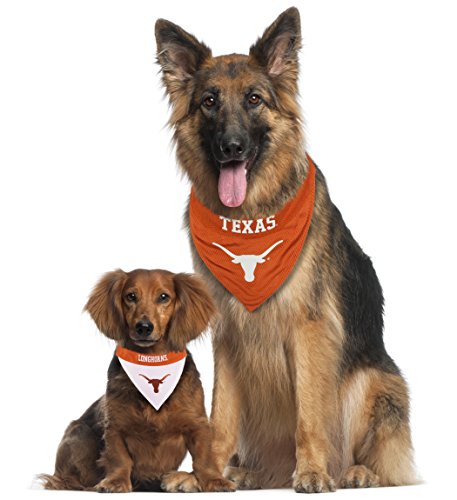 Collegiate Pet Accessories (Small/Medium / Texas Longhorns)