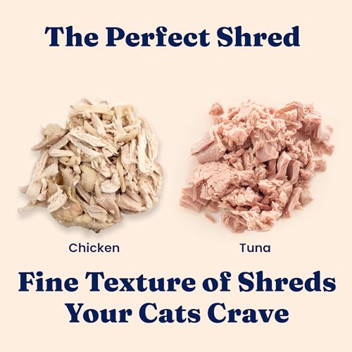 Wet Cat & Kitten Food (24 Pack)