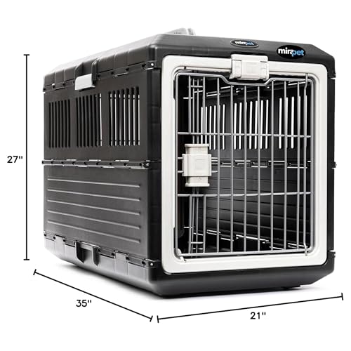 Collapsible Pet Carrier for Large Dogs & Cats (Large - Gray / without kit)