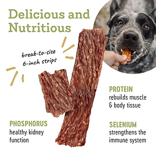 Duck Strips Premium Natural Jerky for Dogs (4.5 Ounce (Pack of 1))