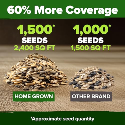 Sunflower Mix Seeds