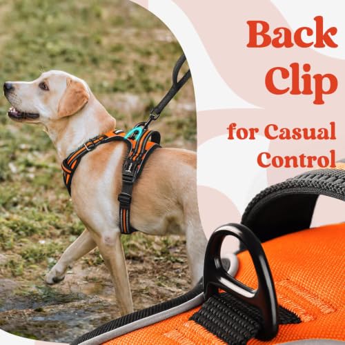 Dog Harness for Large (Large / Orange)