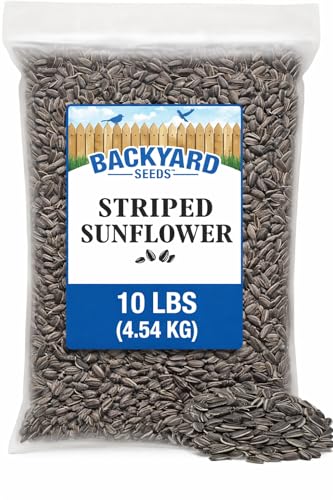 10LB Striped Sunflower Seeds for Birds (Striped Sunflower / 10 Pound (Pack of 1))