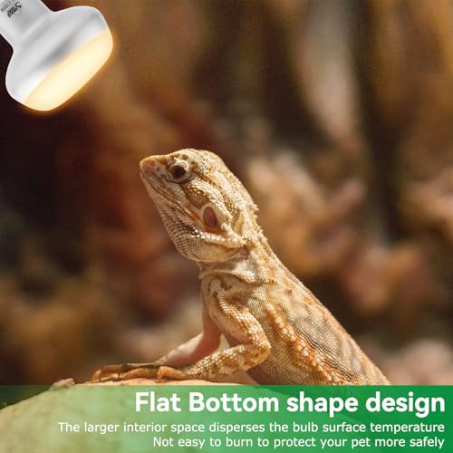 Intense Heat Lamp Bulbs for Reptiles 100W 2 Pack (Natural Basking Light Bulb / 100 Watts)