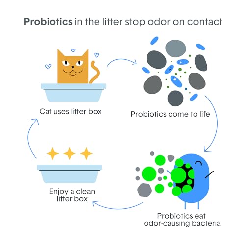 Boxie Probiotic Cat Litter (16 lb)