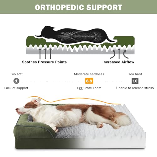 Orthopedic Medium Dog Dogs (Green / M (28"x 23"x 6.5"))