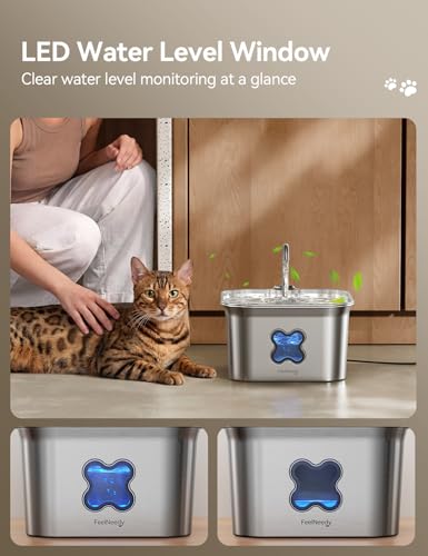 Cat Water Fountain