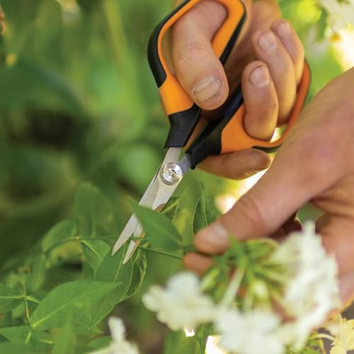 7" Loop Micro (Micro-Tip Shears)