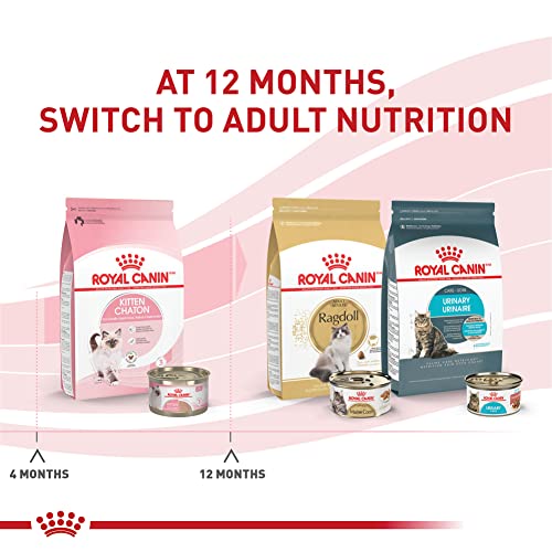 Feline Health Nutrition Kitten Loaf in Sauce Cat Food