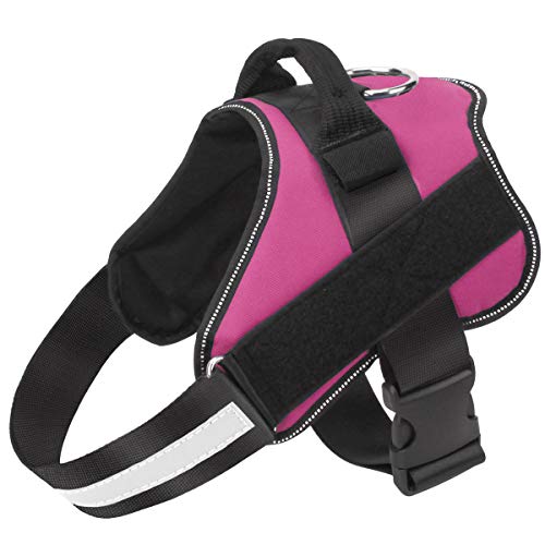 Dog Harness No (Small (Pack of 1) / Rose red)