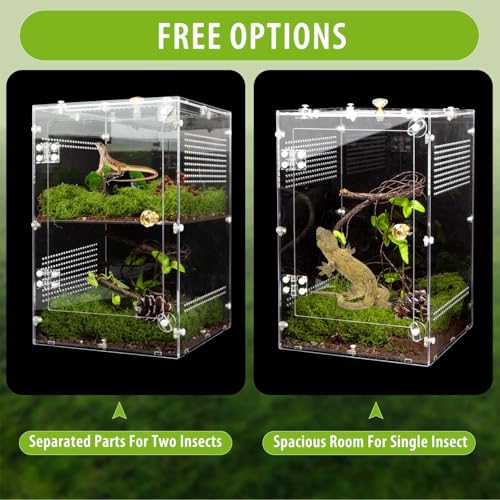 Large Jumping Spider Enclosure (Large-12''x8''x8'')