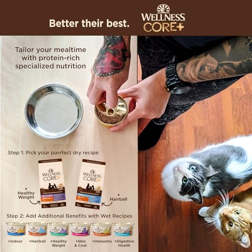CORE+ Healthy Weight Adult Dry Cat Food (4.75 Pound (Pack of 1))