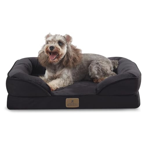 Orthopedic Dog Bed (24.0"L x 18.0"W x 6.0"Th / Black)