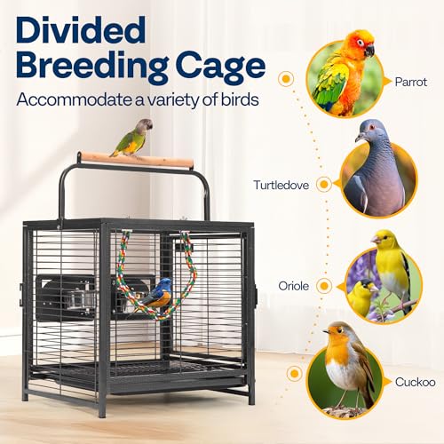 19 Inch Wrought Iron Travel Bird Cage for Cockatiel Parakeets (Black)