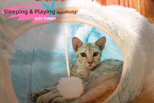Extra Large Cat Tunnel Bed Plush Cat Cave for Indoor Cats (Azure Blue)