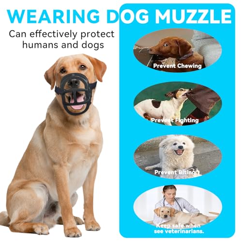 Dog Muzzle Basket Muzzle for Small Medium Large Dogs (Black / 6)