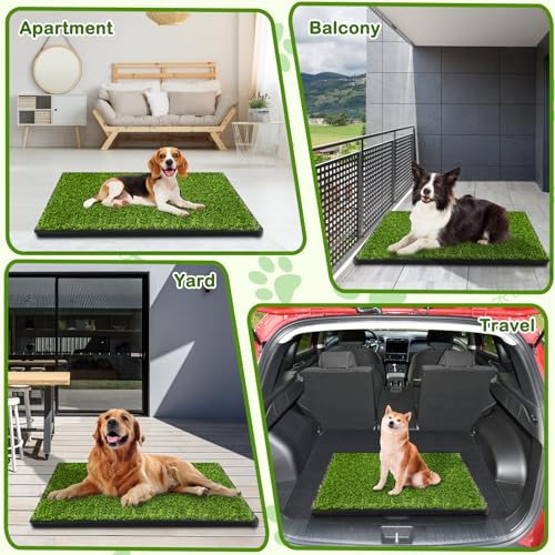 Dog Grass Pad with Tray (23''X17'' (3-Layer Potty System))
