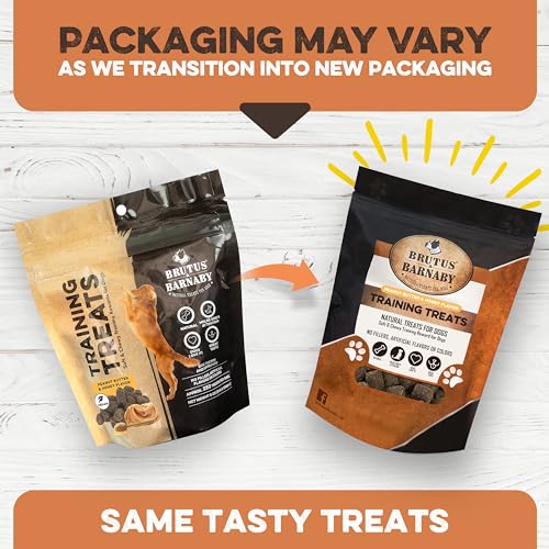 Natural Peanut Butter & Honey Dog Training Treats (1 Pound (Pack of 1))