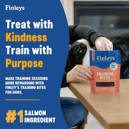 Training Treats Salmon Soft Low Calorie Dog Treats (16 Ounce (Pack of 1))