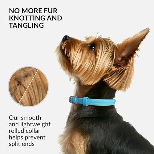 Tangle Free Reflective Leather Dog Collar (Light Blue / S)