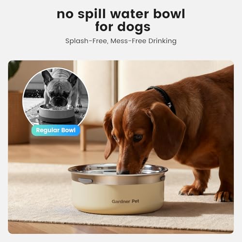 Dog Water Bowl Stainless Steel Dog Bowl (White / Small (2L))