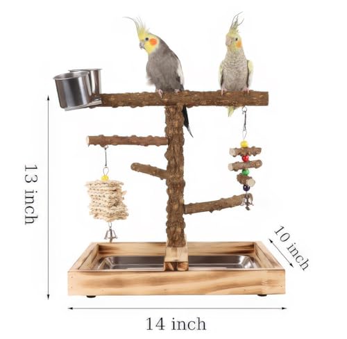 Bird Perch Stand (Style B)