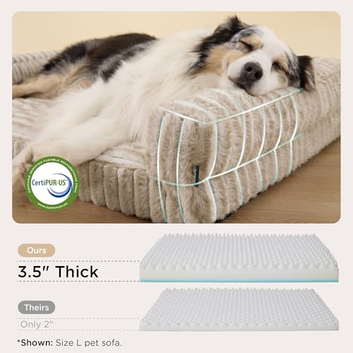 ComfyFleece® Memory Foam Orthopedic XL Plus Dog Bed 45" (Amphora / 45.0"l X 32.0"w X 7"th)