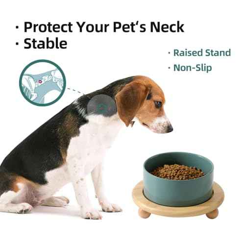 Raised Cat Bowl 6.1” Elevated Ceramic Cat Food and Water Bowl (Dark Green)