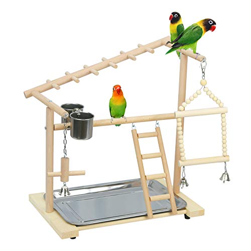 Parrot Playstand Bird Playground Wood Perch Stand