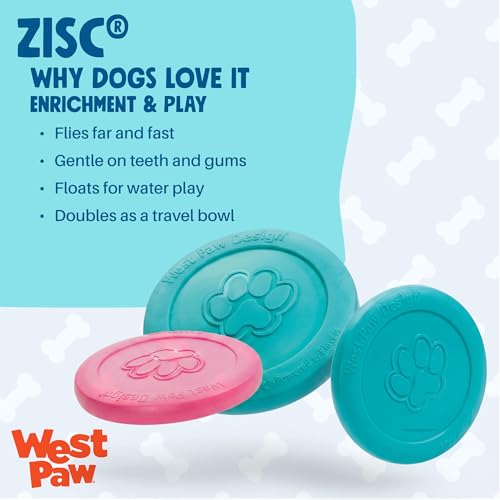 Zogoflex Zisc Dog Flying Disc (Large / Geranium)