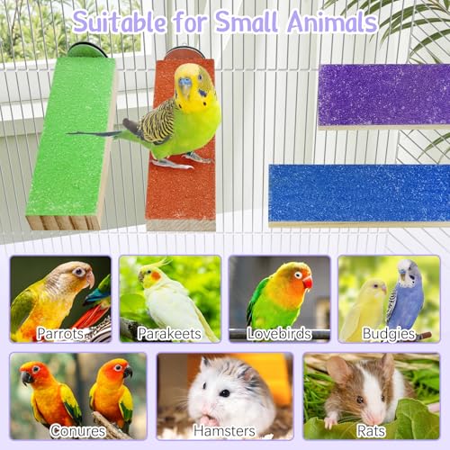 Hamiledy Colorful Bird Perches Wooden Paw Grinding Board Parakeets Stand Platform Bird Chewing Toys Cage Accessories for Budgies Cockatiels Conure Lovebirds Parrots Hamsters