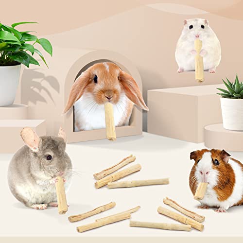 145g 0.3Ib Sweet Bamboo Chew Sticks for Rabbits (4.8 Ounce (Pack of 1))