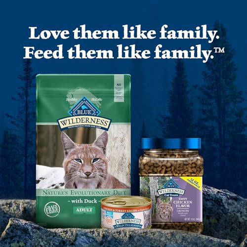 Blue Buffalo Wilderness Duck Adult Dry Cat Food