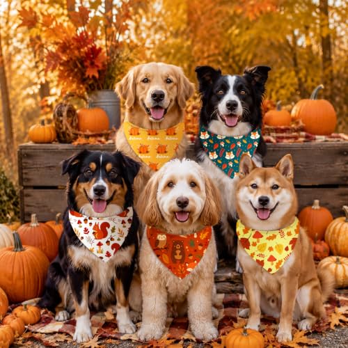 50 Pcs Fall Dog Bandanas Bulk Autumn Leaf Pumpkin Acorn Mushroom (Woodland Autumn / 25.6 x 17.7 x 17.7")
