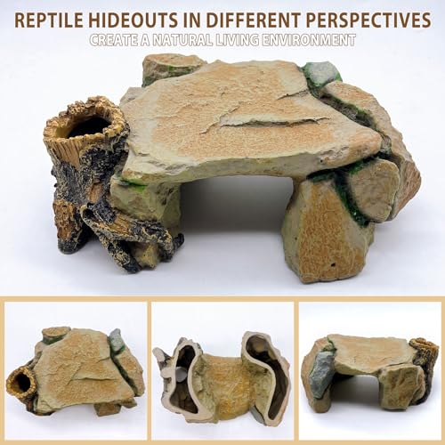 Reptile Hide Cave