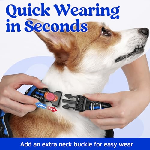 Dog Harness for Large (Royal Blue / X-Large)