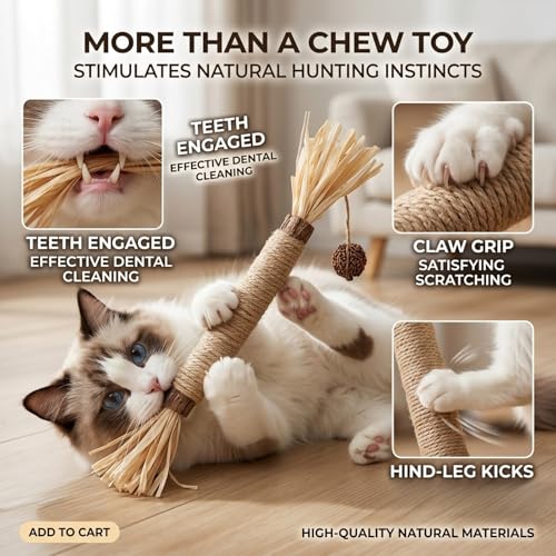 Cat Grass Treat Indoor 30g Chicken Freeze Dried Hairball (Pro-3pcs)