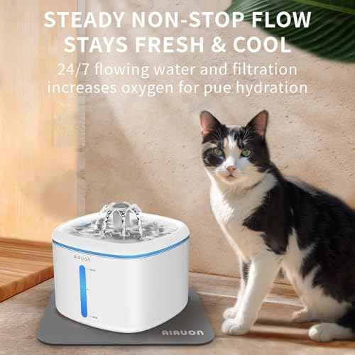 Cat Water Fountain