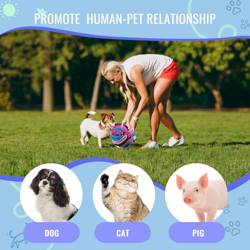 Pet Snuffle Ball (Royal blue / 20cm)
