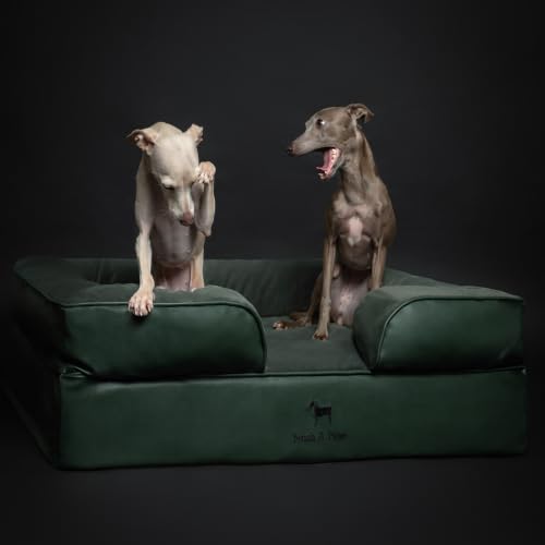 Dog Bed Orthopedic Memory Cooling Foam (Green - LE / Large)