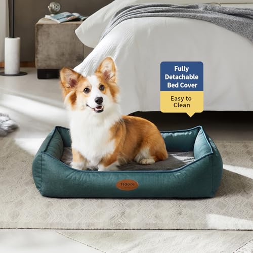 Orthopedic Dog Beds for Medium Dogs (31.5"L x 25.2"W x 7"Th / Olive green)