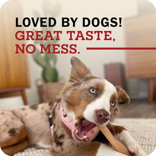 Redbarn Small Collagen Braids 100% Natural Beef Dog Chew (Small / 1 Count (Pack of 35))