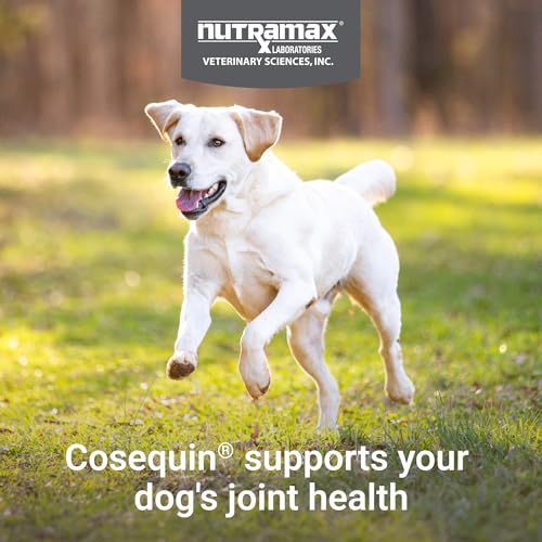 Nutramax Cosequin Joint Supplement for Dogs (250 count / MSM)